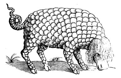 Topsell's Gorgon