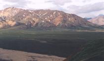 [Denali N. P. road]