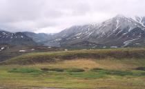 [Denali N. P. road]