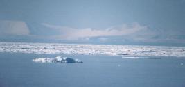 [Russia and pack ice]