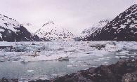 [Portage Glacier]