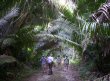 [ChanChich trails]