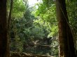[ChanChich trails]
