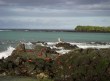 [Galapagos]