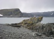 [coastal]