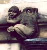 [Oxford:]