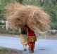 [women]
