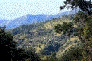 [Blue Mountains]