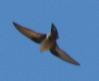 [Crag Martin]