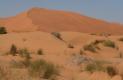 [Dunes]