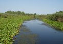 [Danube Delta]