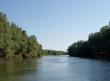 [Danube Delta]