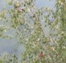 [Eurasian Bullfinch]