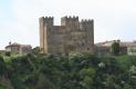 [Castle]