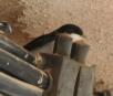 [House Martin]
