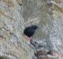 [Spotless Starling]