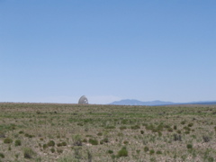 vla 131