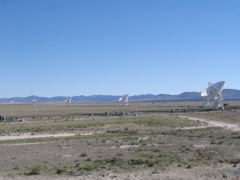 vla 036
