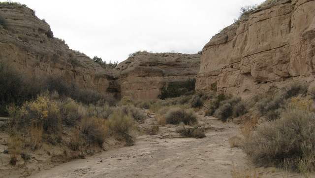 photo of canyon