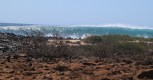 [Galapagos]