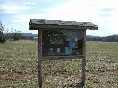 DSCN0203.JPG