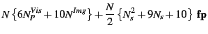 $\displaystyle N\left\{6 N^{Vis}_P + 10N^{Img}\right\}+\frac{N}{2}\left\{N^2_s + 9N_s + 10\right\} {\tt\bf fp}$