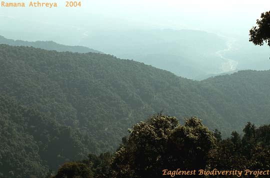 Assam plains from Eaglenest