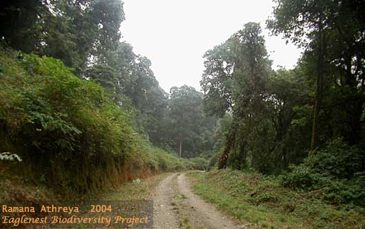 Chakoo-Bompu road