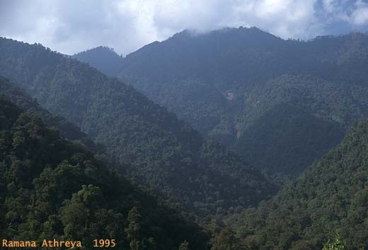 Sessa Peak