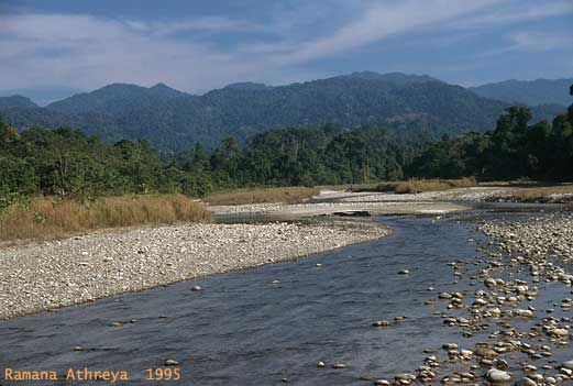 Pakke - Lalong river