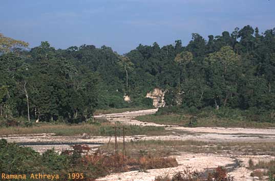 Khari view - Lalong river