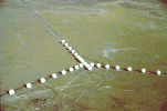 Overhead view of the VLA in D-configuration