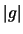 $ \left\vert g\right\vert$